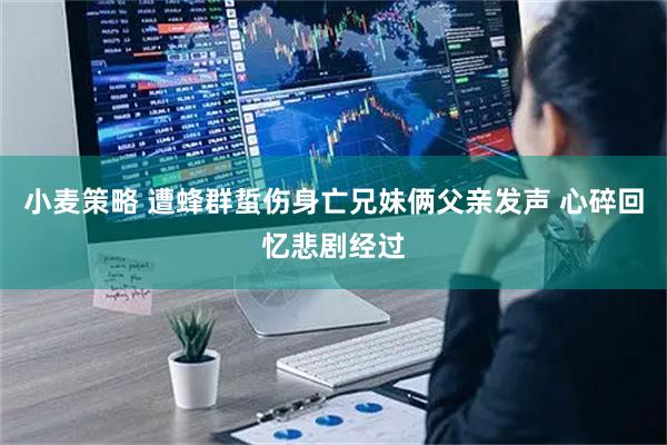 小麦策略 遭蜂群蜇伤身亡兄妹俩父亲发声 心碎回忆悲剧经过