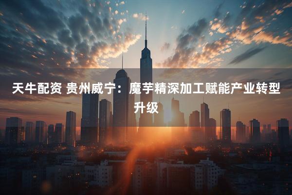 天牛配资 贵州威宁：魔芋精深加工赋能产业转型升级